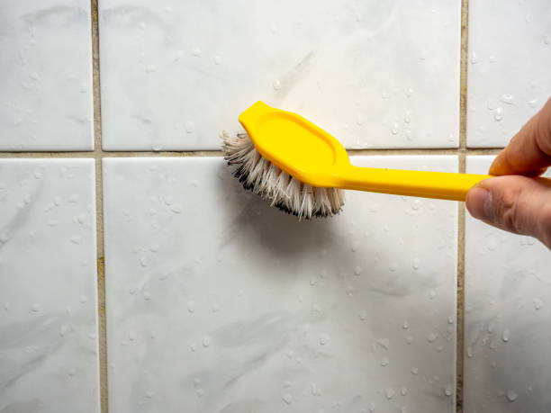 Best Mold Removal Company Near Me  in Yates Center, KS