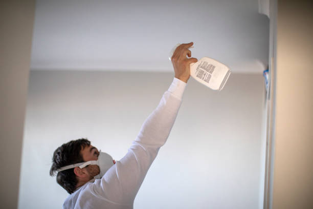 Trusted Yates Center, KS Mold Removal Experts
