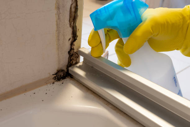 Best Residential Mold Removal  in Yates Center, KS
