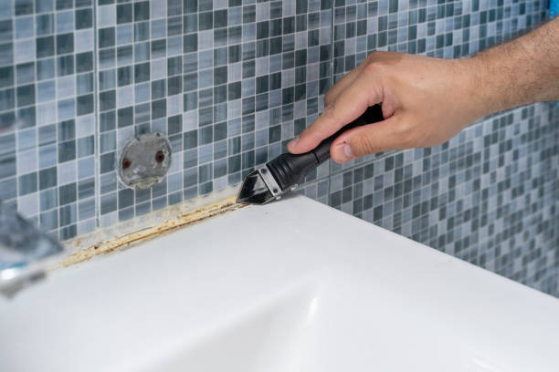 Best Mold Removal Specialists  in Yates Center, KS