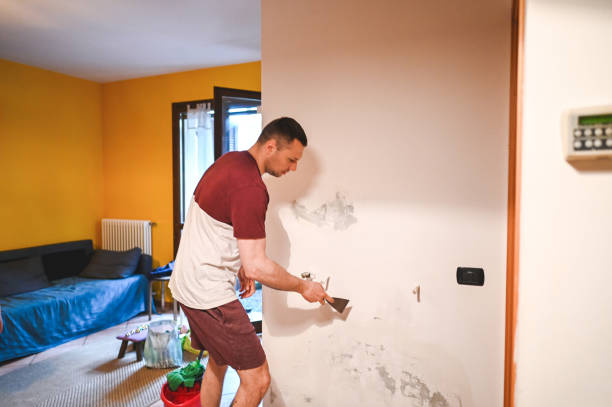 Best Mold Cleaning Services  in Yates Center, KS