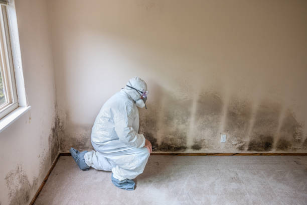  Yates Center, KS Mold Removal Pros