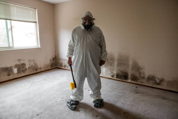 Best Office Mold Removal Services  in Yates Center, KS